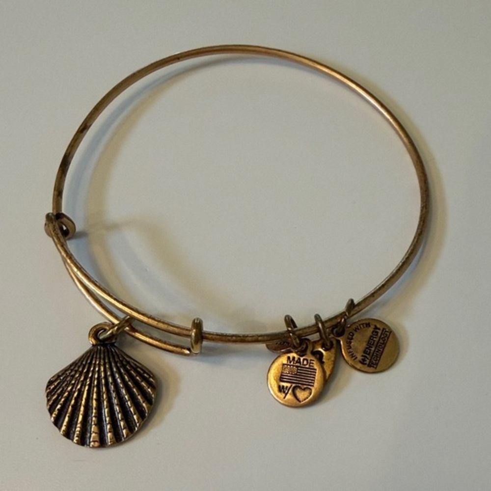 Alex and Ani Gold Charm Bracelet